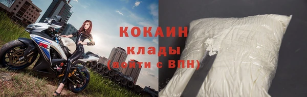 крисы Бородино