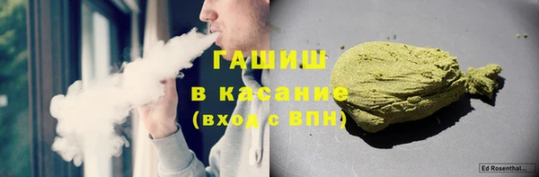 крисы Бородино
