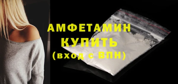 крисы Бородино