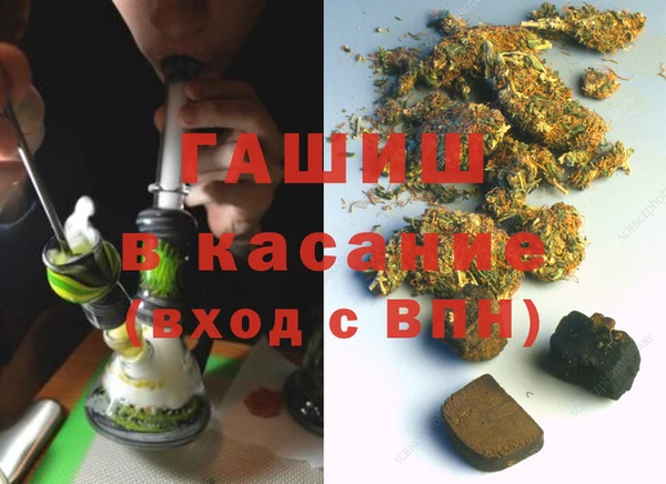 крисы Бородино
