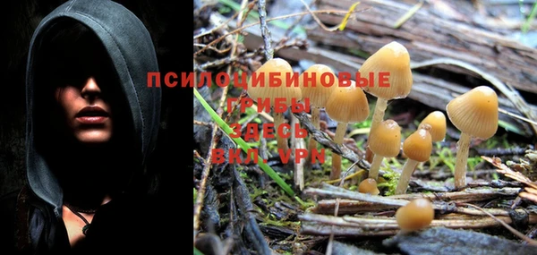 дмт Бронницы