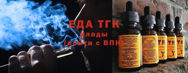 крисы Бородино