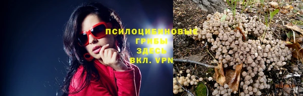 дмт Бронницы