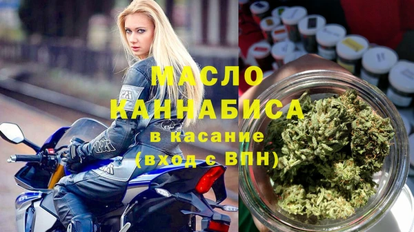 крисы Бородино