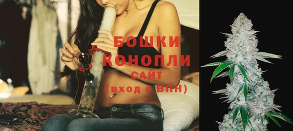 крисы Бородино
